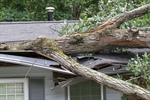 A Tree Fell on Your House: Now What?