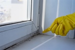 When Do You Need To Replace Your Windows?