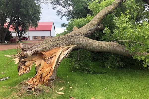 Storm Damage Claim Terms: Actual Cash Value vs. Replacement Cost