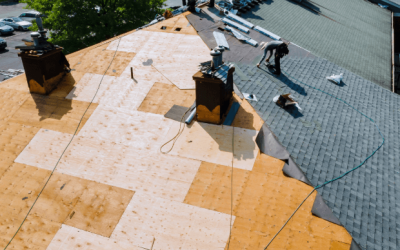 What to Do After Hail or Wind Damage to Your Roof