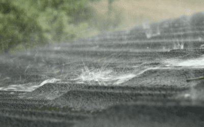 How Weather Conditions in Austin Affect Your Roof’s Longevity