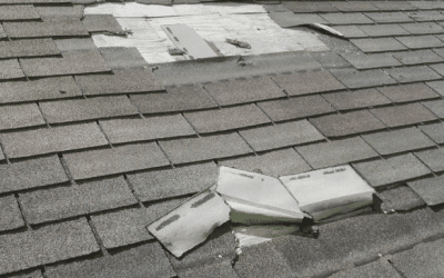 Protecting Your Roofing and Siding