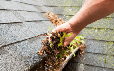 Gutter Maintenance Checklist for Homeowners in Minnesota