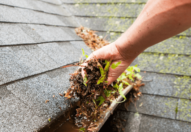 Preparing Your Home for Winter