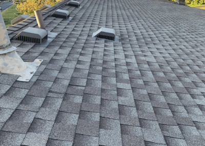 A rooftop with gray asphalt shingles, multiple attic vents, and several vent pipes. Green trees and a brick chimney are visible in the background under a clear sky.